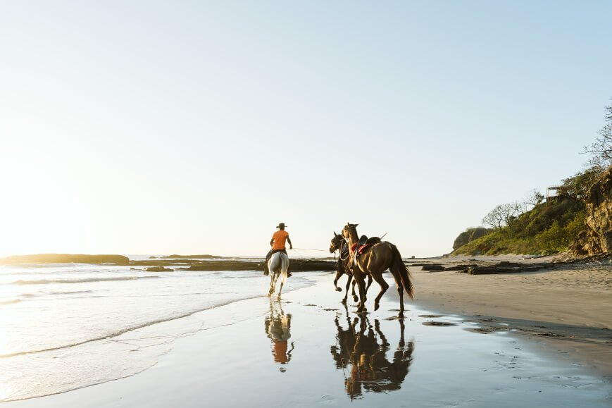 Person riding two horses along the shoreline on a beach at sunset or sunrise with cliffs and trees in the background.