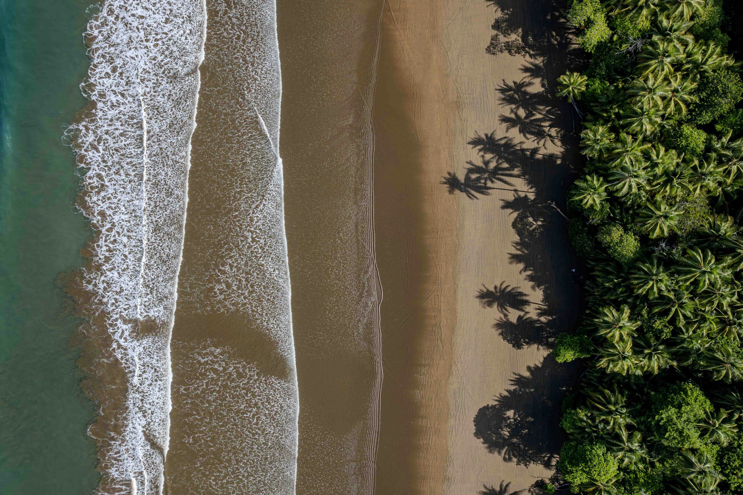 Aerial view of a tropical beach with waves, sandy shore, and dense green palm trees.