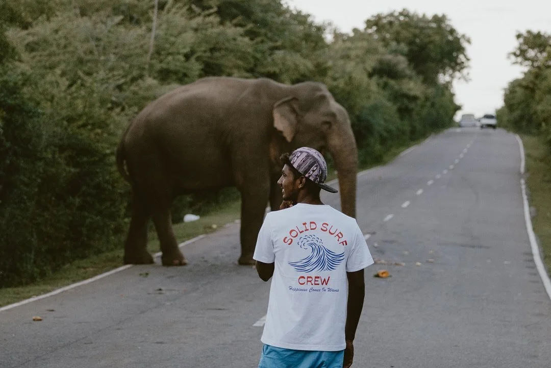 SOLID SRI LANLA ELEPHANT.jpg