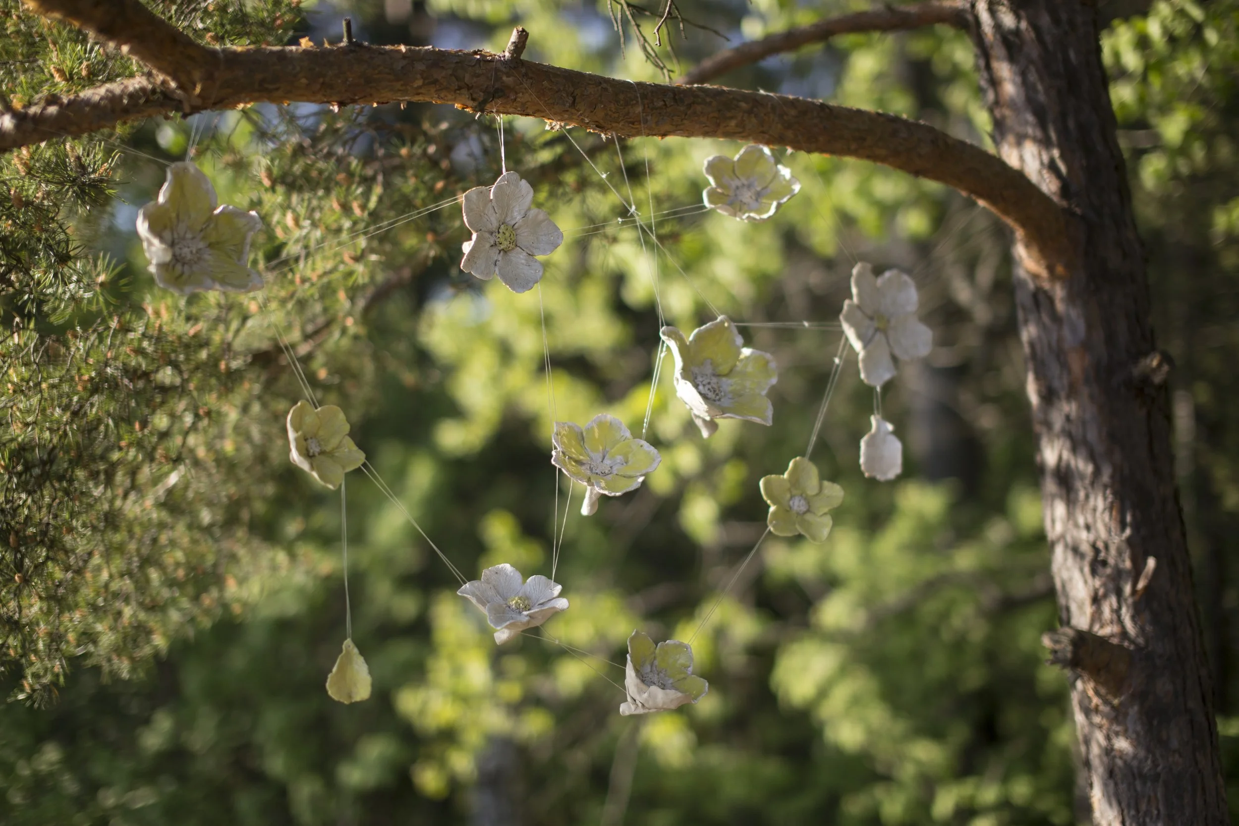 2016_Mendelin herneet_2.jpg