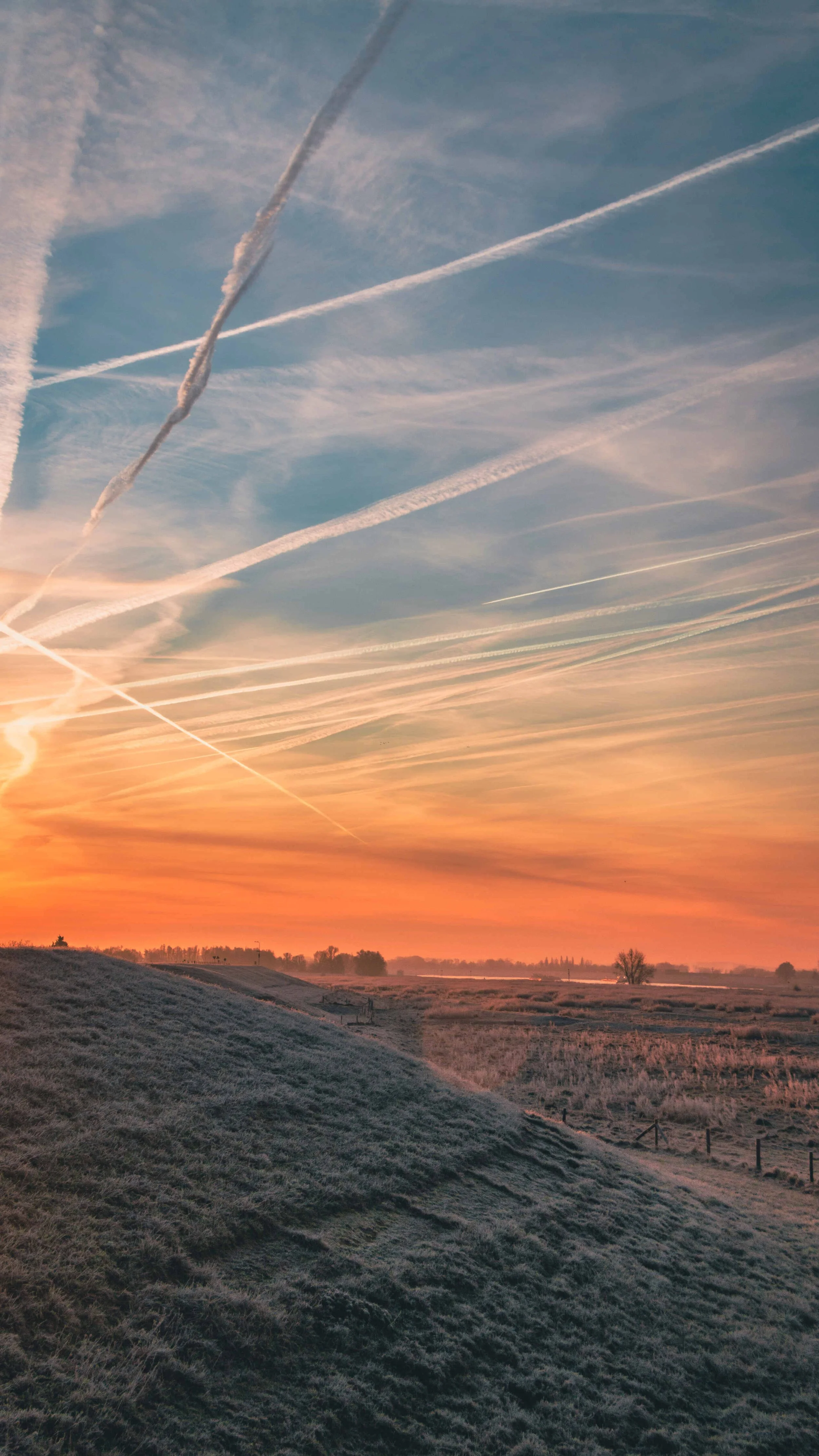 Sunrise Golden Ice.jpg