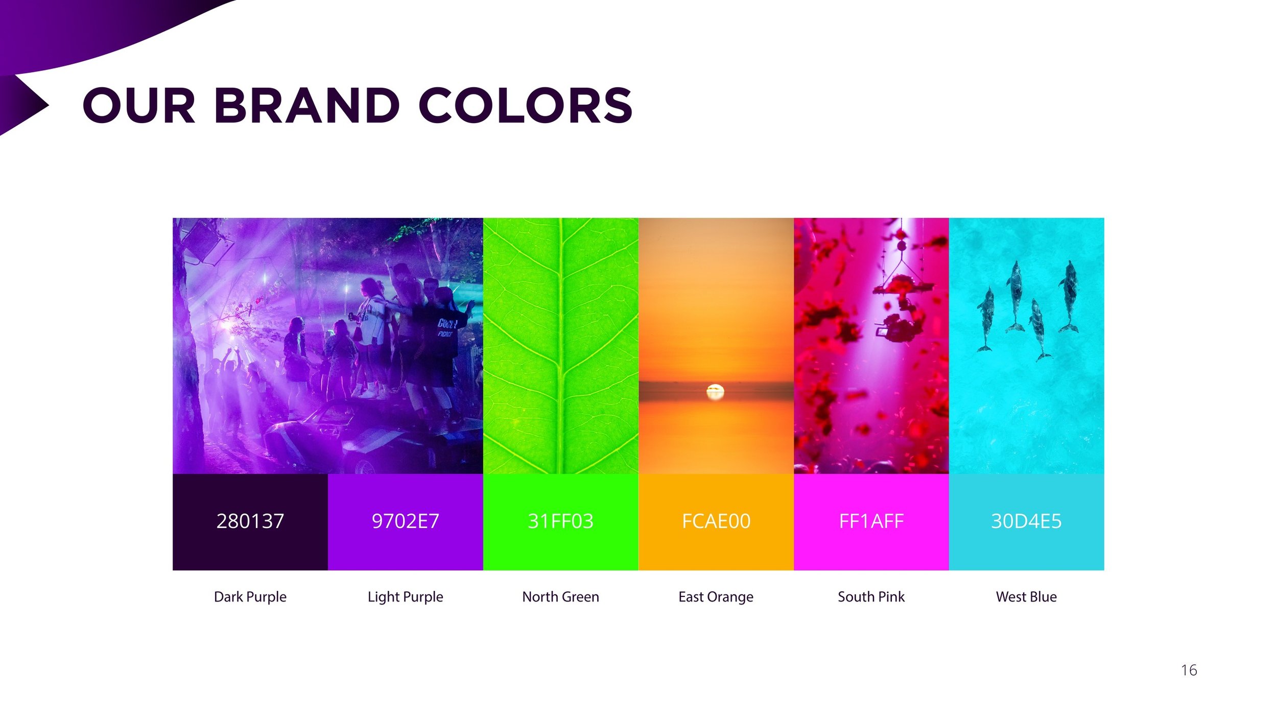 Avalon Brand Identity-16.jpg