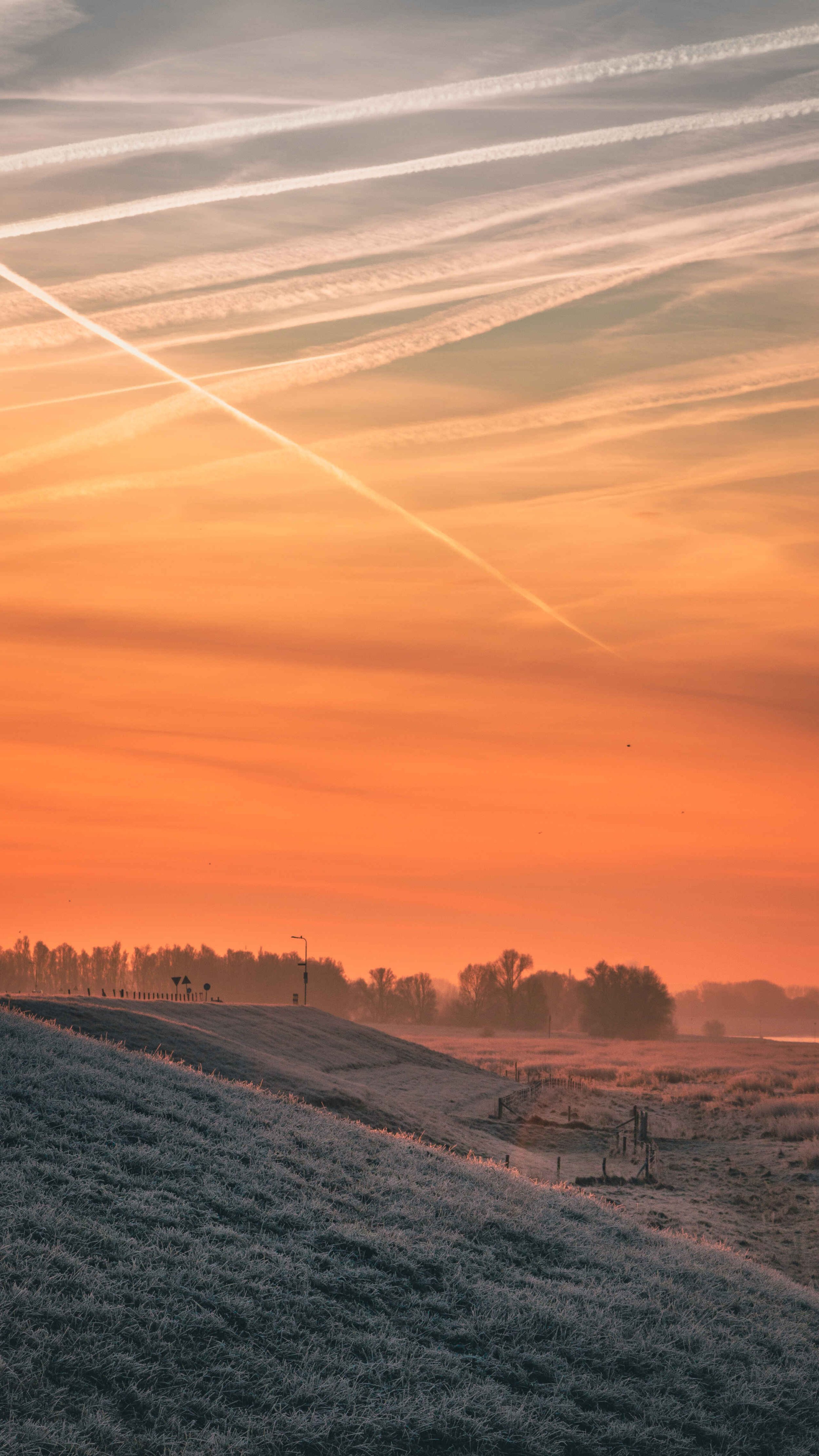 Sunrise Golden Ice Pro.jpg