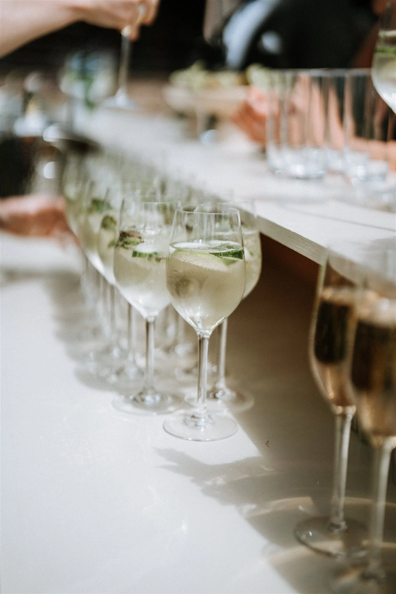 ©Georginaharrisonphoto-C&V-459.jpg