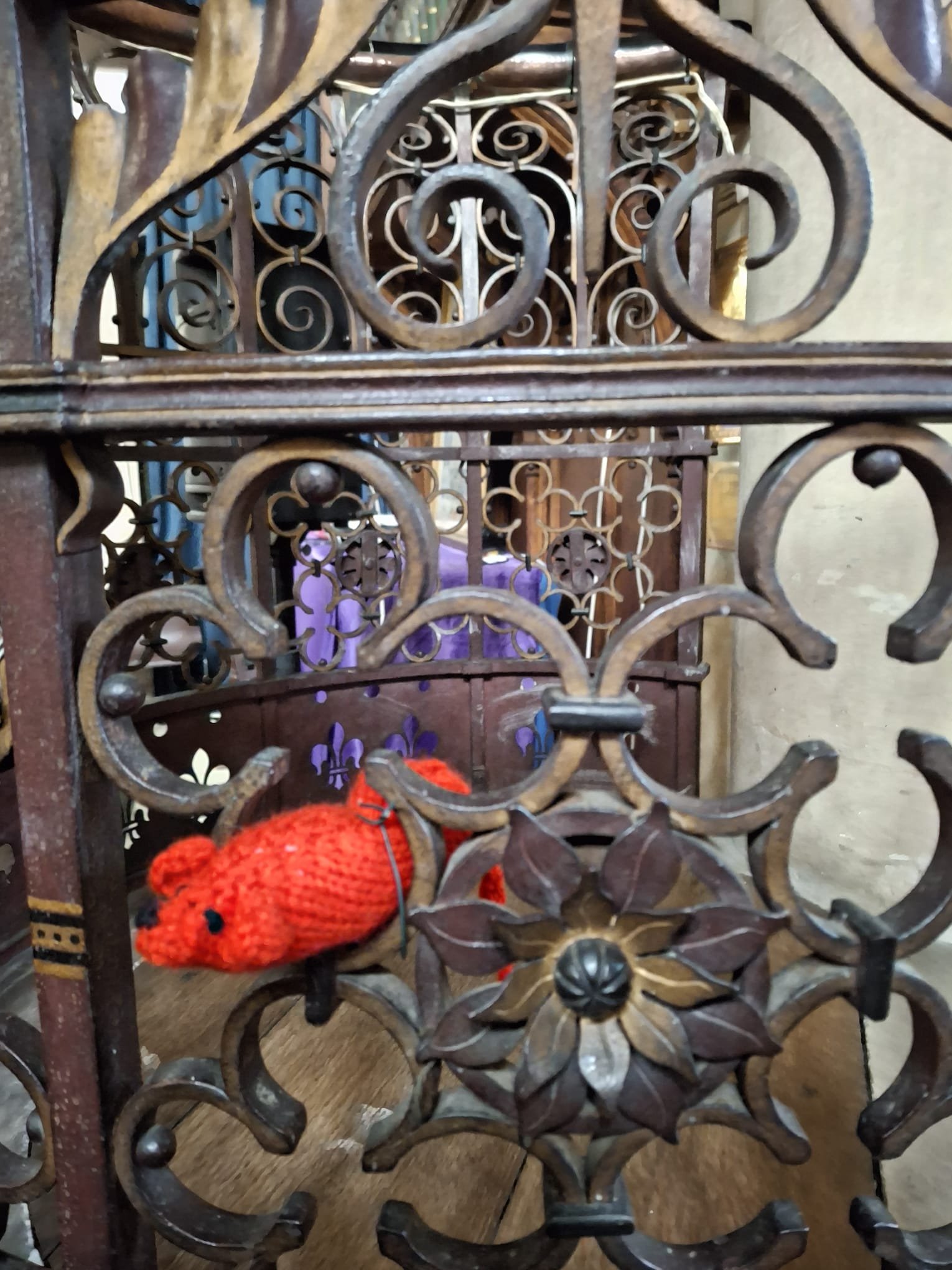 IMG-20251005-Orange pulpit mouse.jpg