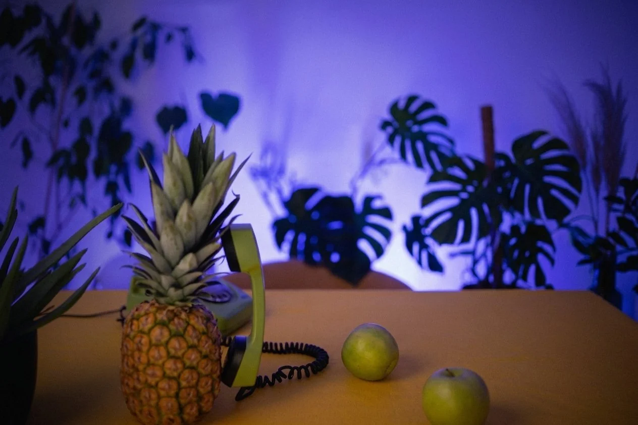 A pineapple with a telephone receiver placed on top of it, two apples, and a plant in the background with dark cut-out leaves cast shadows on a illuminated wall.