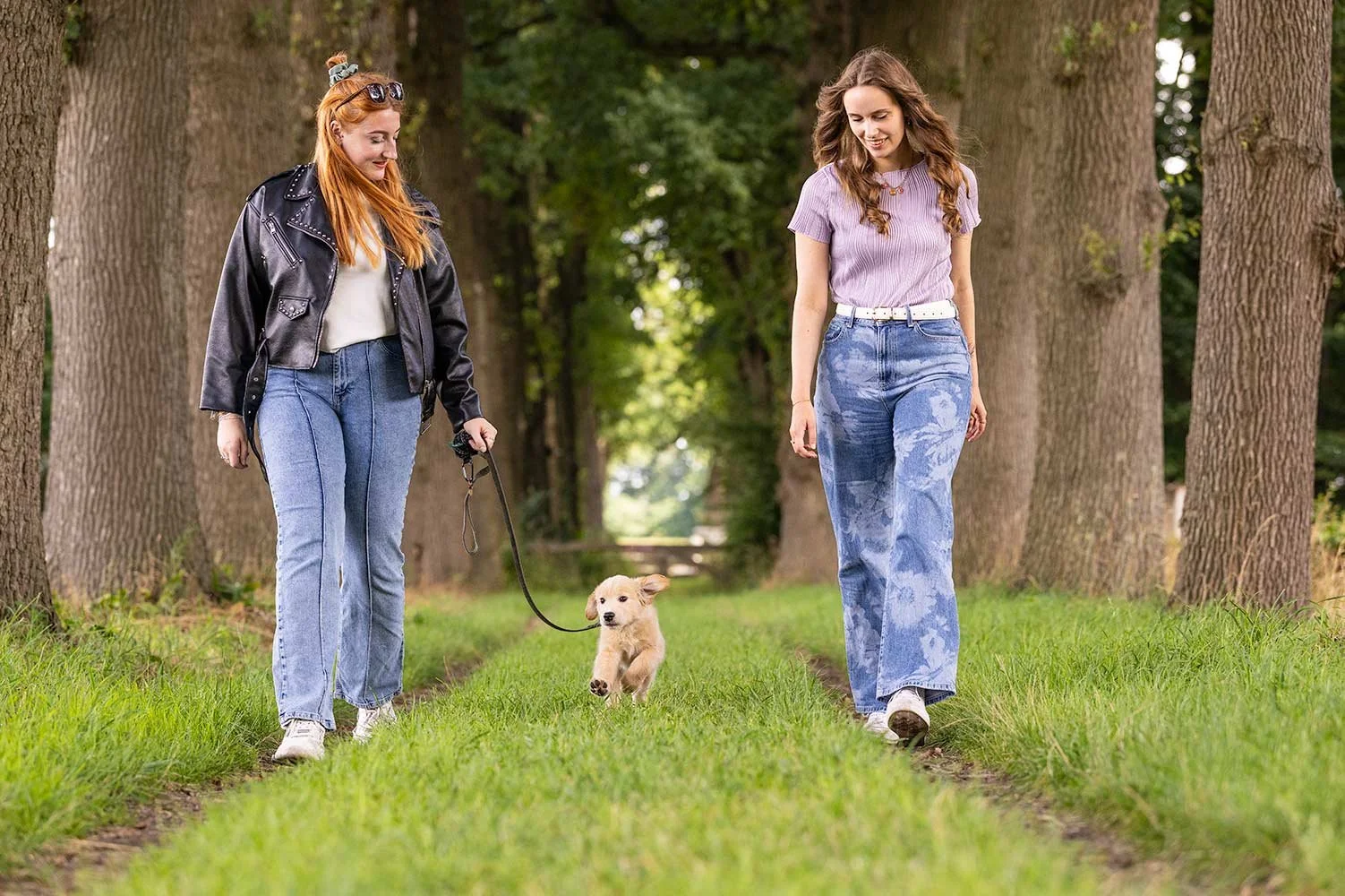 bestaand licht actiefoto