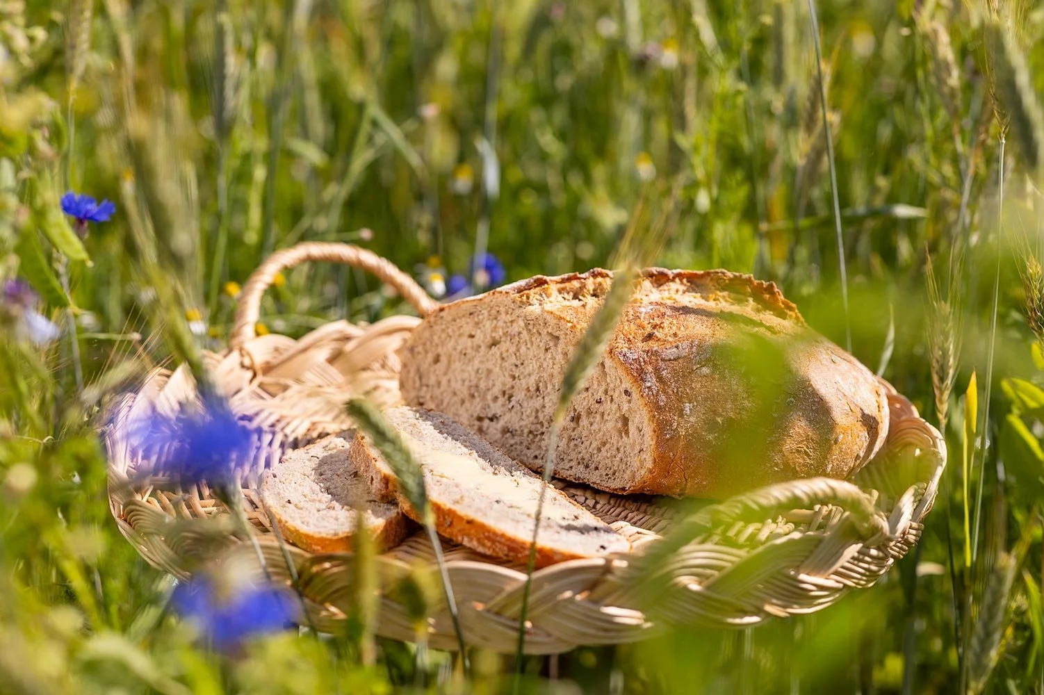 Productfotografie brood &amp; kaas op locatie, voor biologisch dynamisch landbouw bedrijf @overesch.nl te Heino-Raalte. 

De boodschap achter dit Bio Brood komt nu eenmaal het best tot z&rsquo;n recht op de akker van Overesch zelf, waar de granen van