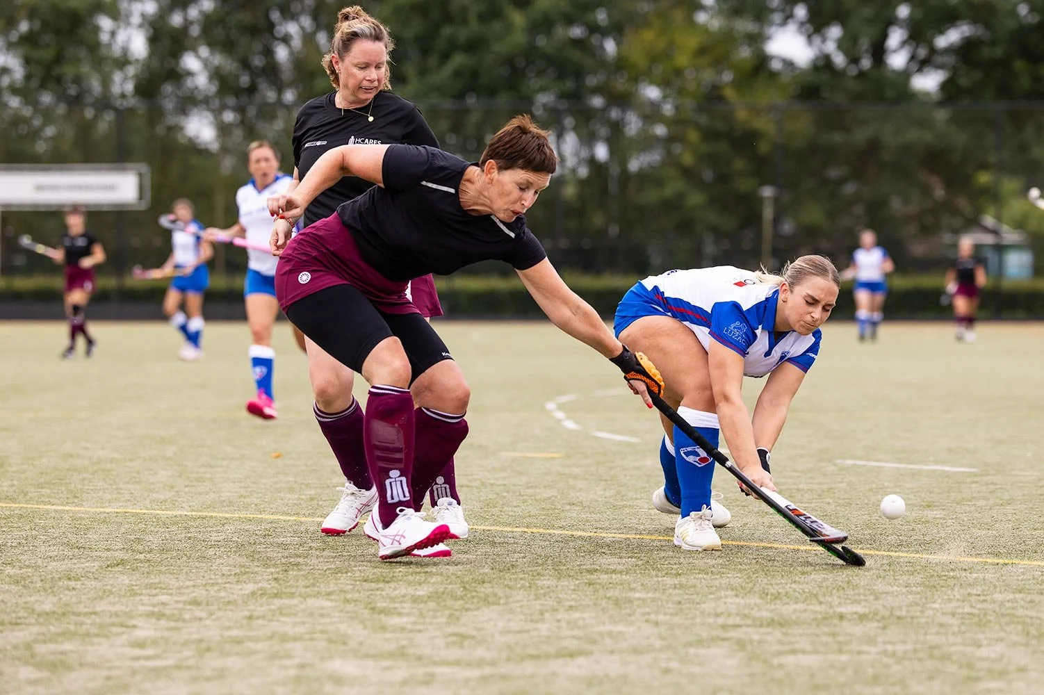 HcZwolle D30-2 tegen HCAres D30-1-6.jpg