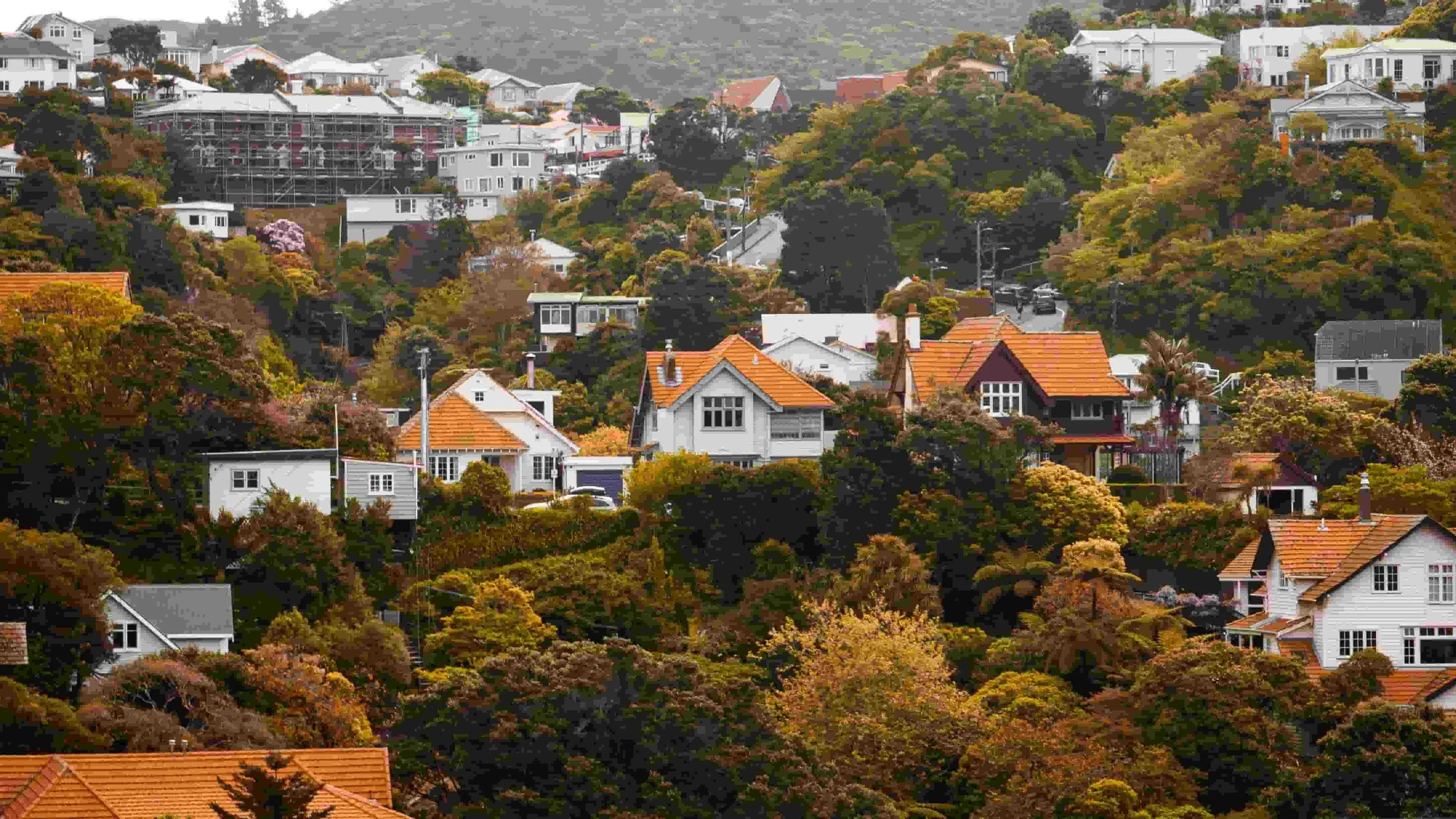 New Zealand Residence Visa &amp; SMC 2026: Complete Guide to the Skilled Migrant Category Changes
