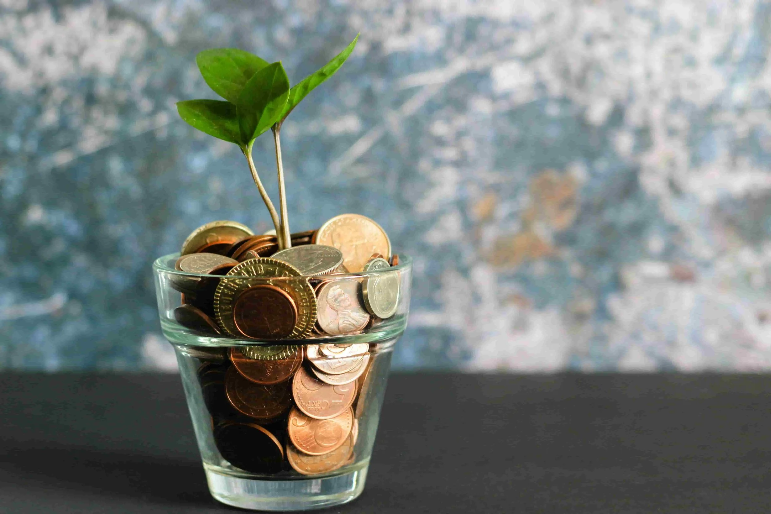 BNZ Joins Immigration New Zealand’s Funds Transfer Scheme for International Students