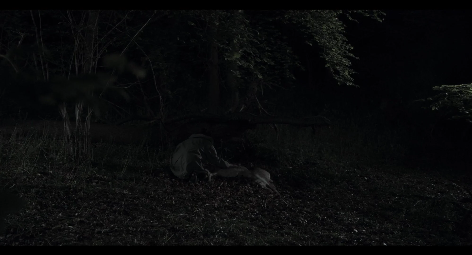 Still 2025-03-14 172310_1.1.10.jpg