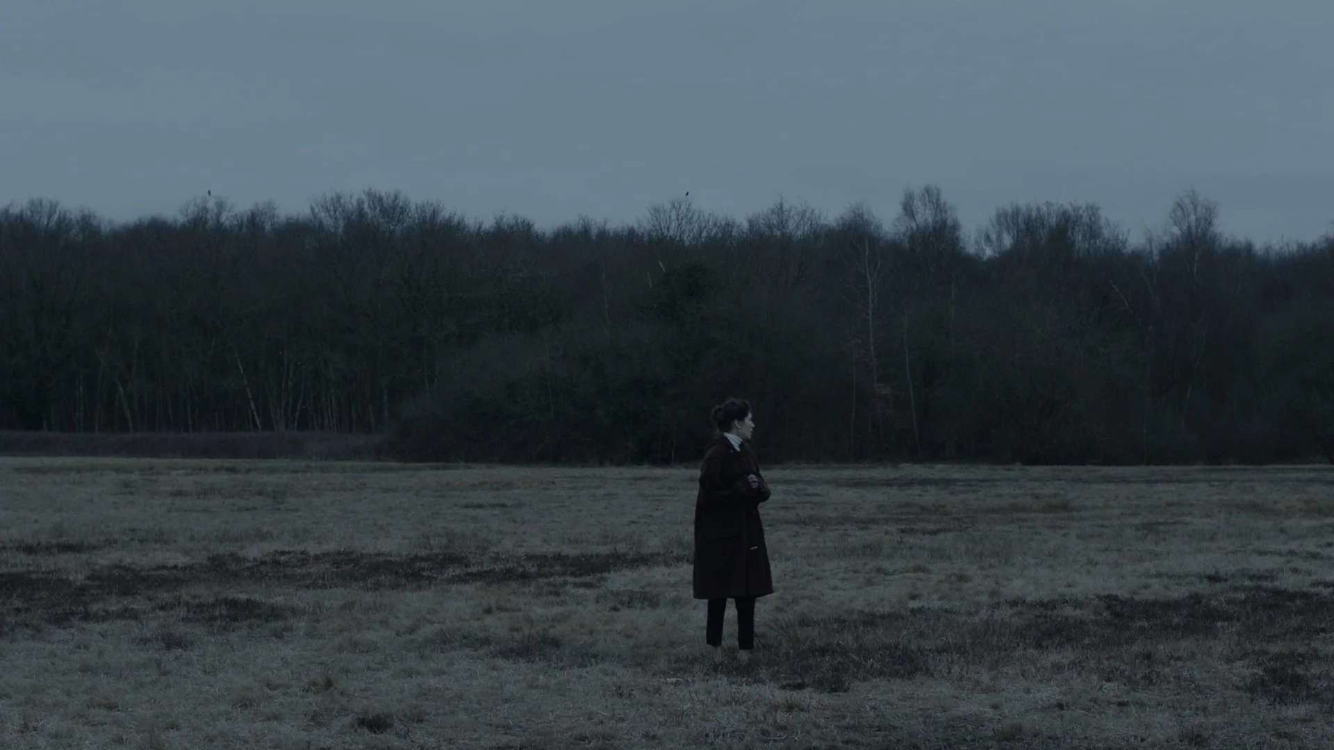 Still 2025-03-14 135354_1.1.10.jpg