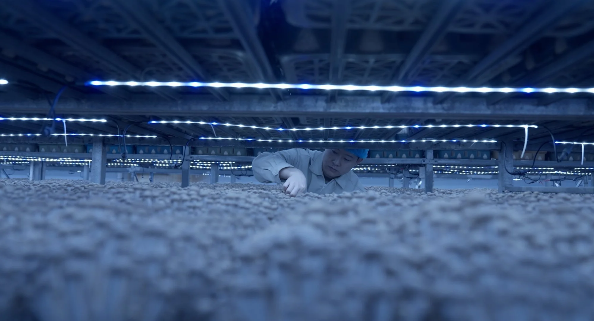 WORK PLACE | Short Documentary