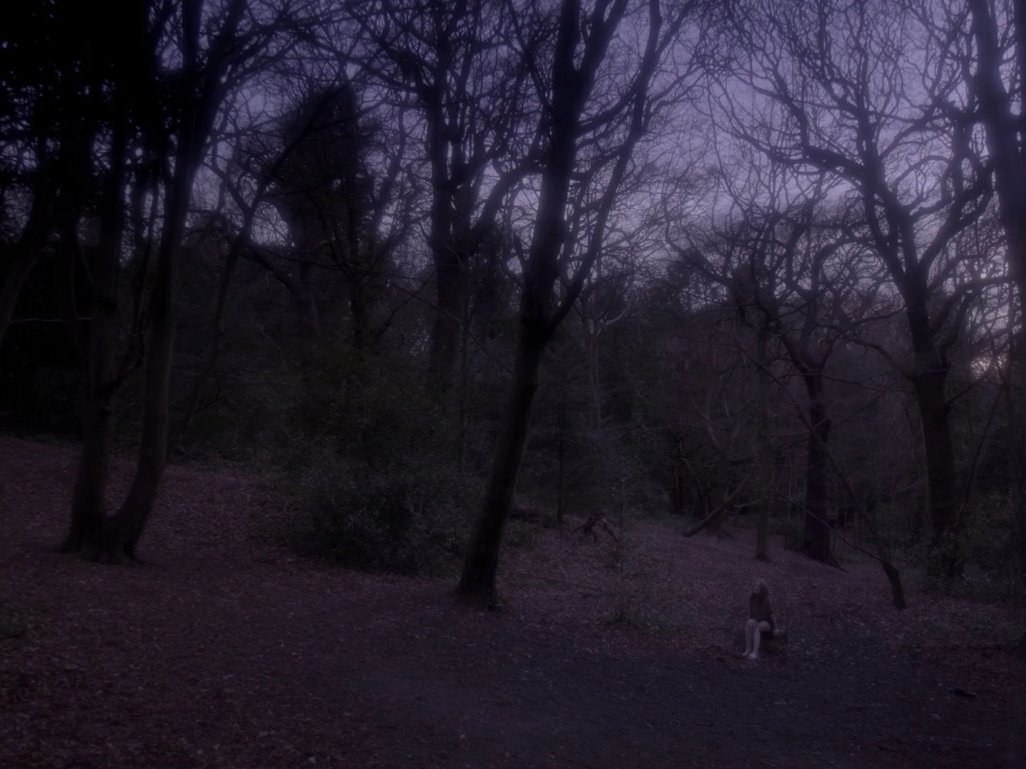 Still 2025-03-14 163944_1.1.16.jpg