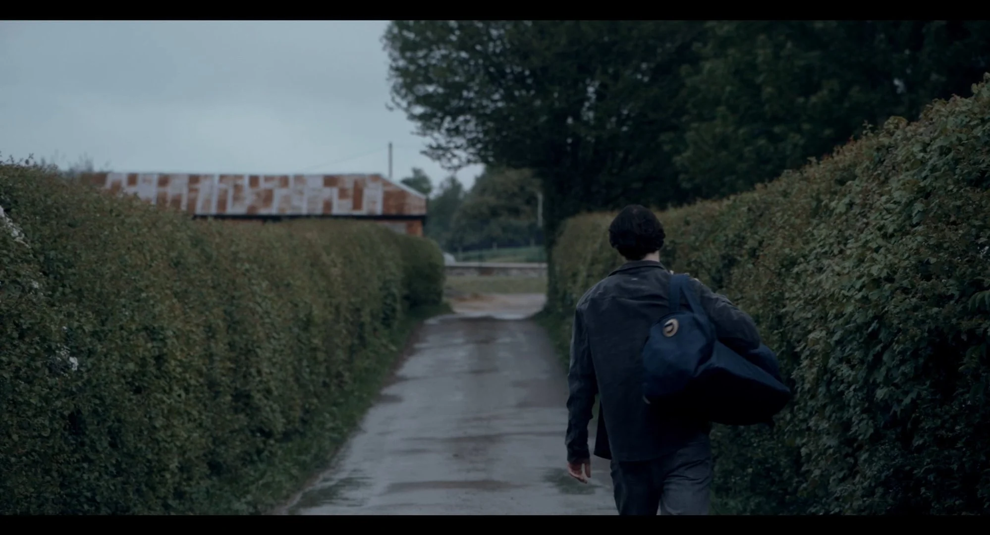 Still 2025-03-14 172310_1.1.1.jpg