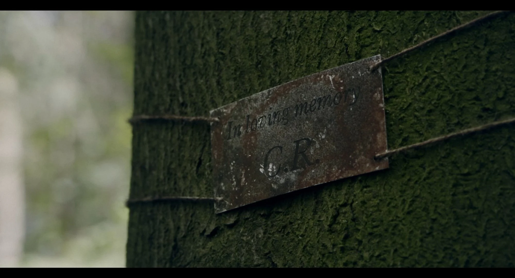 Still 2025-03-14 172310_1.1.4.jpg