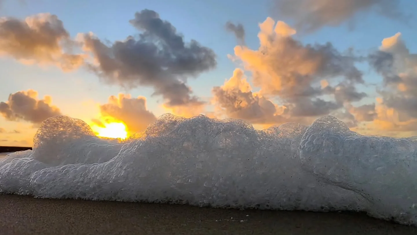 A reminder to slow down and breathe. Golden hour by the sea. Nature's soft side.

#artofseeing
#firstlight
#goldenquite
#lightandair
#quietmoments