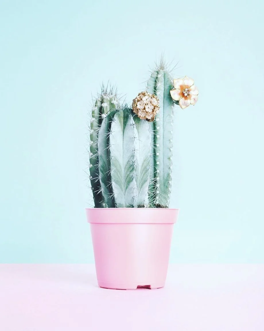 How&rsquo;s quarantine treating you? I miss you all, I miss lashing, &amp; my introverted ass never thought I would say this... but I sort of miss socializing! 🙃 
If you&rsquo;re like me, &amp; haven&rsquo;t been able to do much of anything... I jus