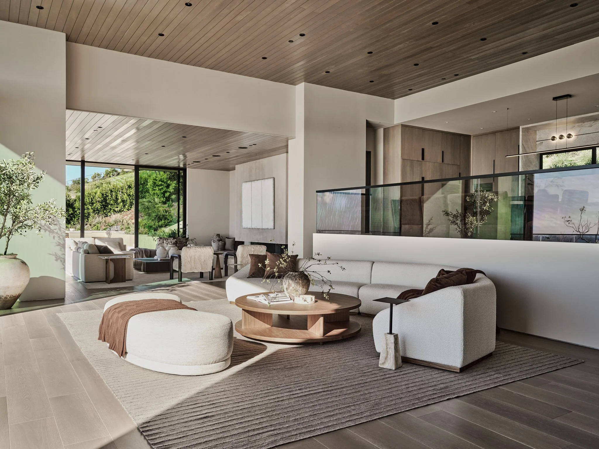 20260208_Moss_Andromeda 61.jpg