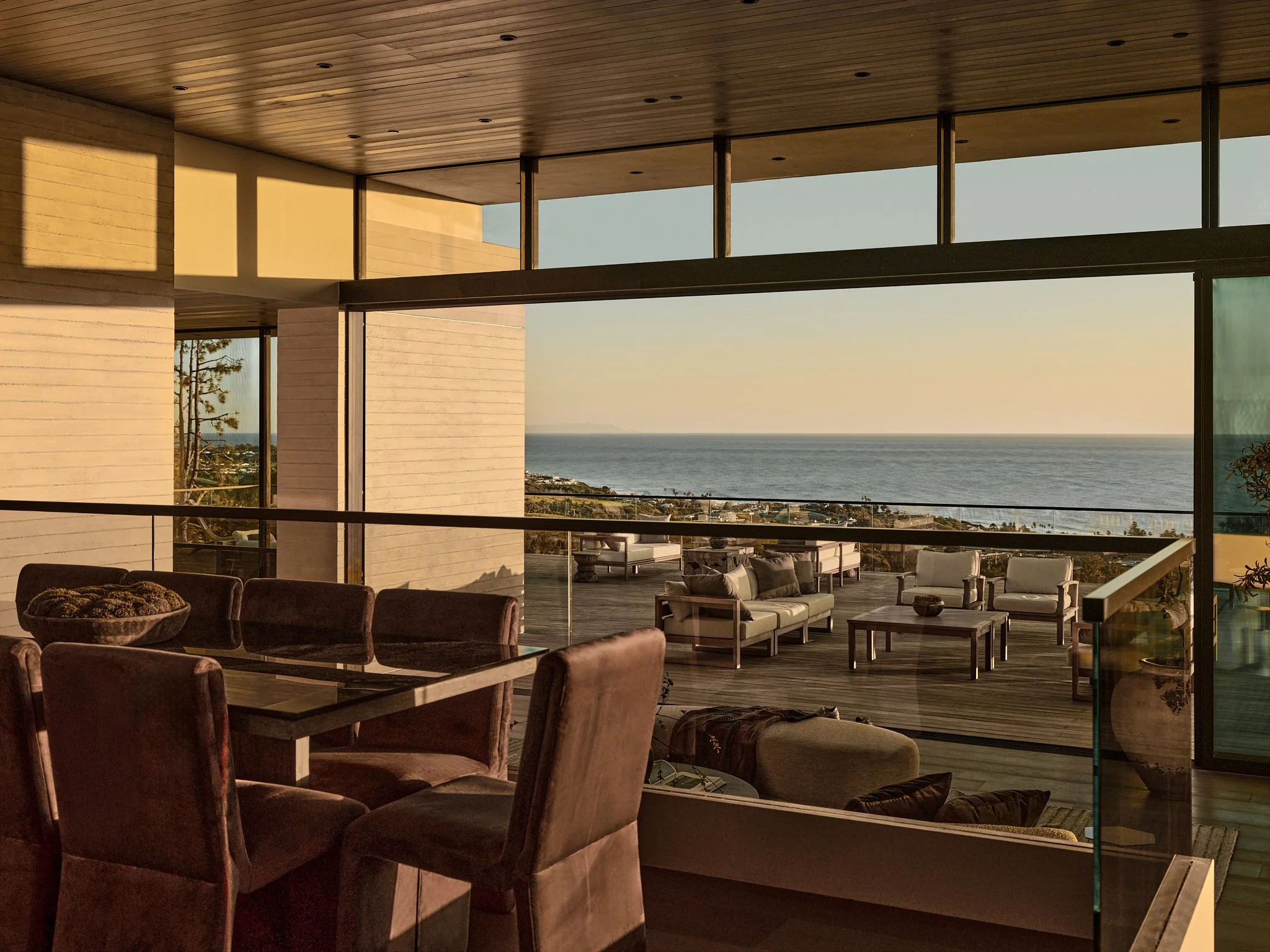 20250108_Moss_Andromeda 57.jpg