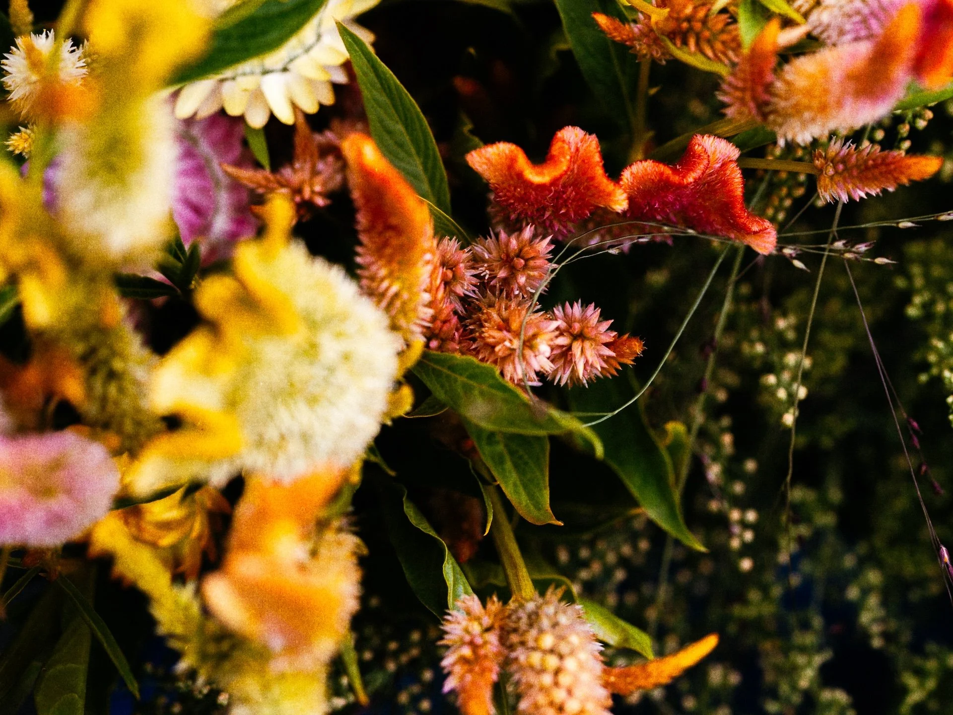 085A7903-Edit.jpg