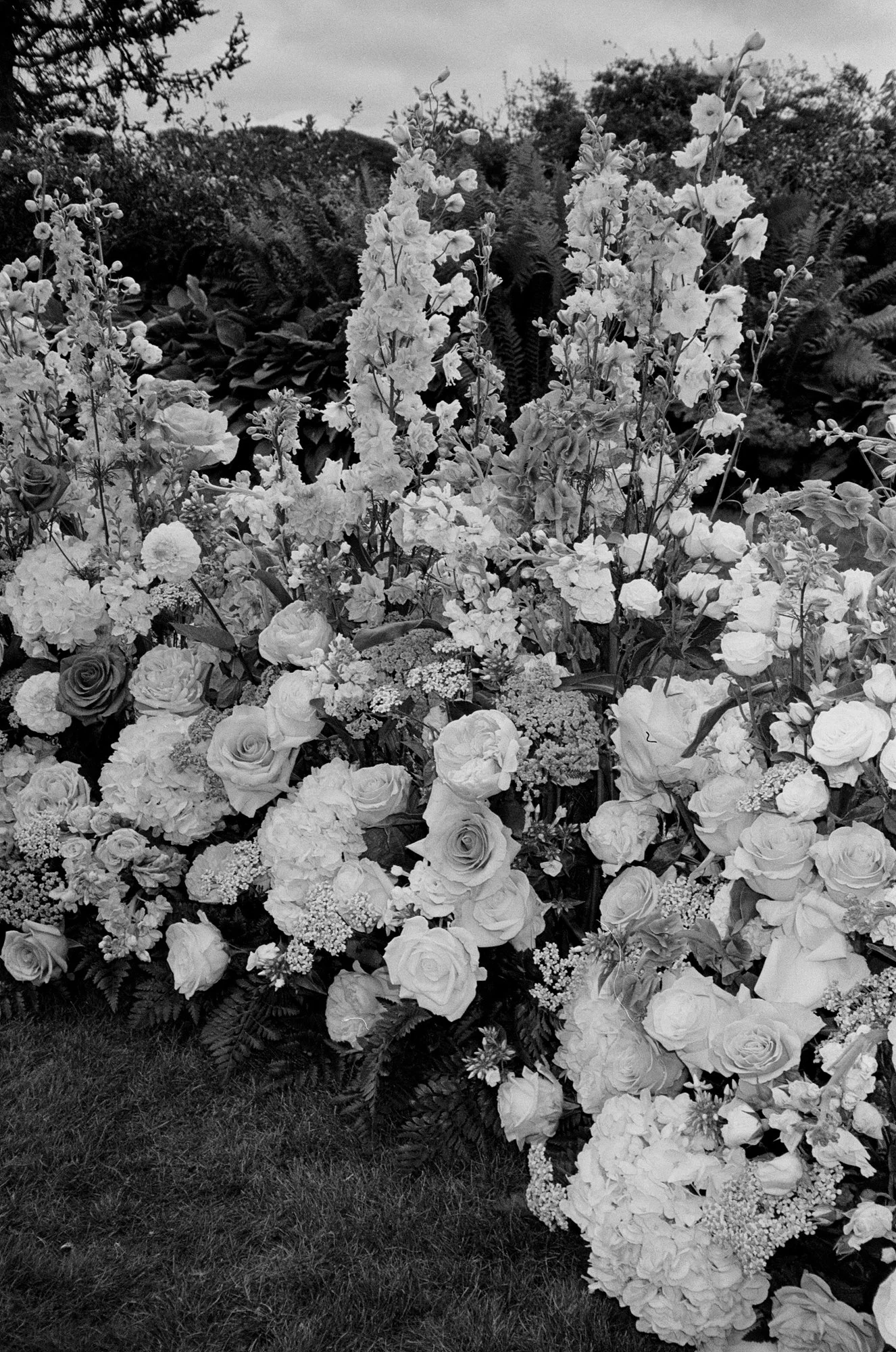 Film-7.jpg