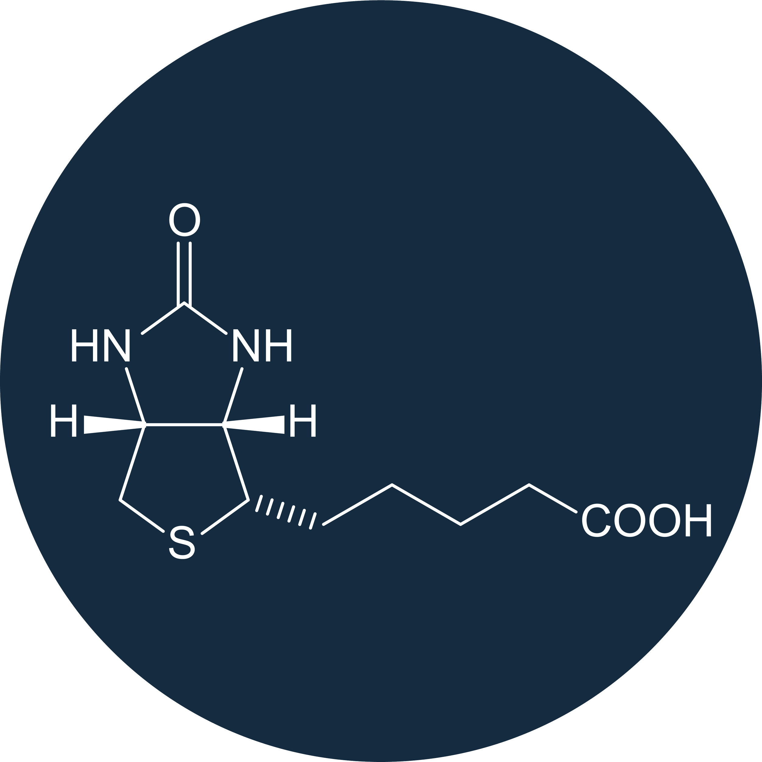 Biotin Booster Liverpool The Treatment Table