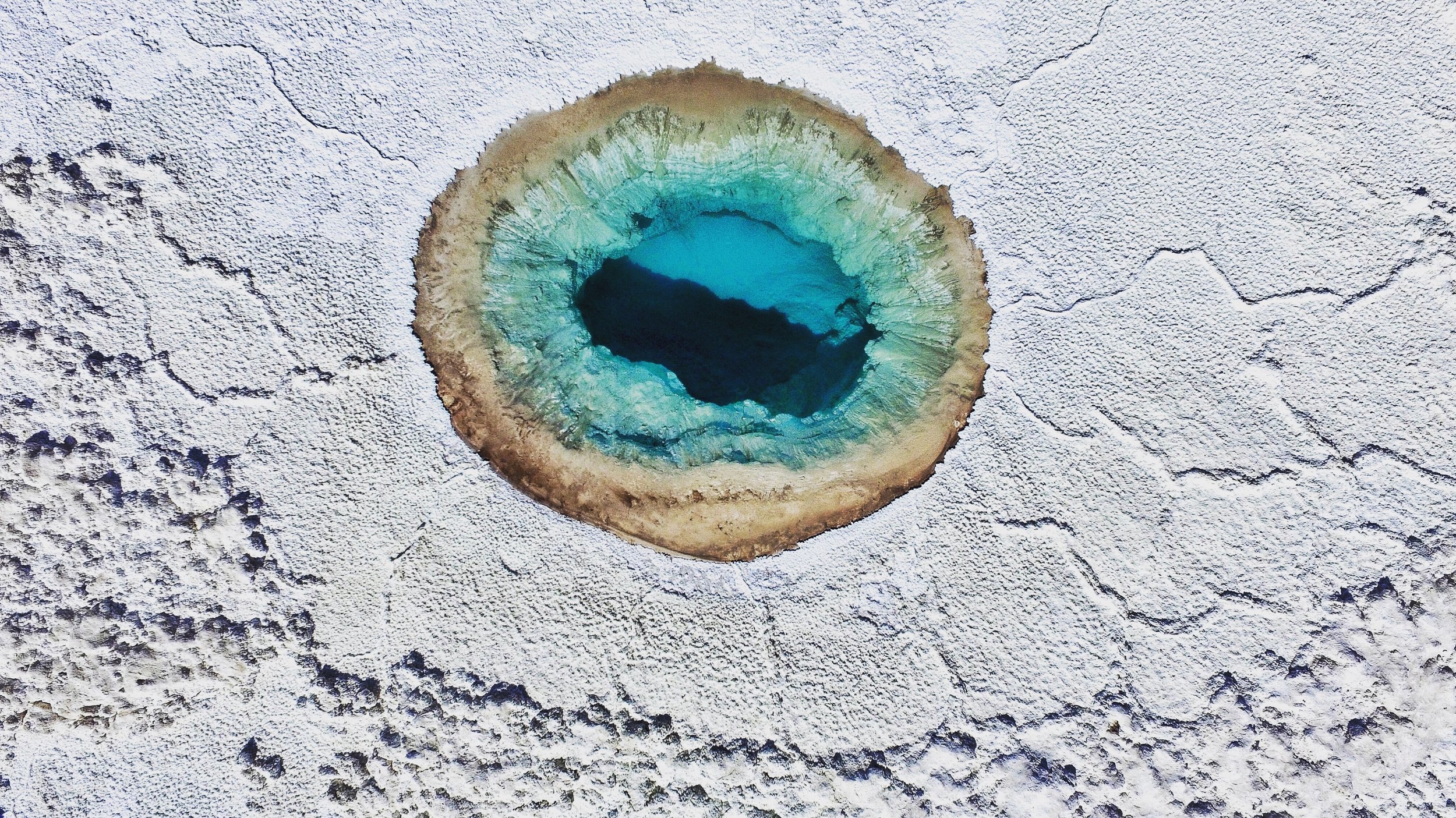 Preservation San Pedro De Atacama - Project Survival Genes