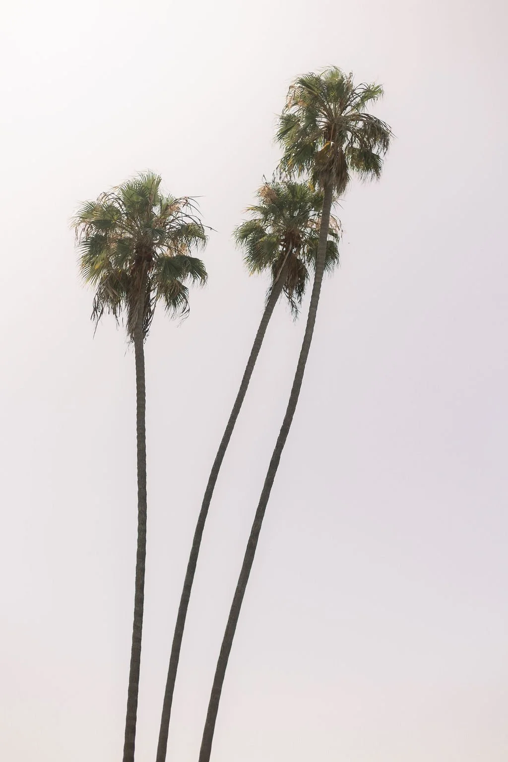 ELP_3590.jpg