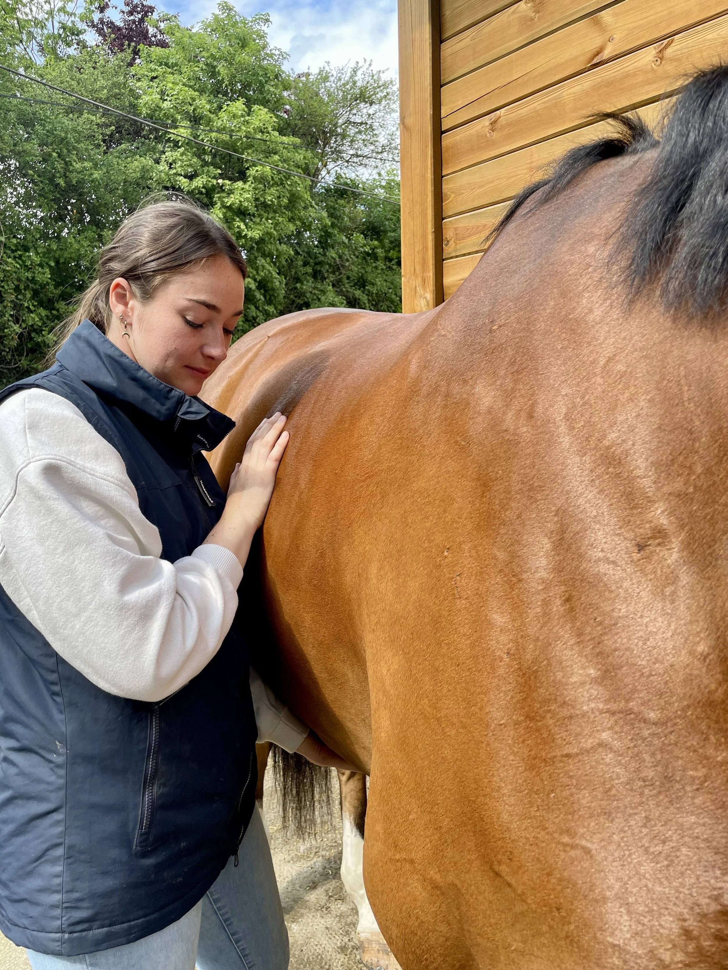 Troubles digestifs chez l'animal : comment l'ostéopathie peut aider