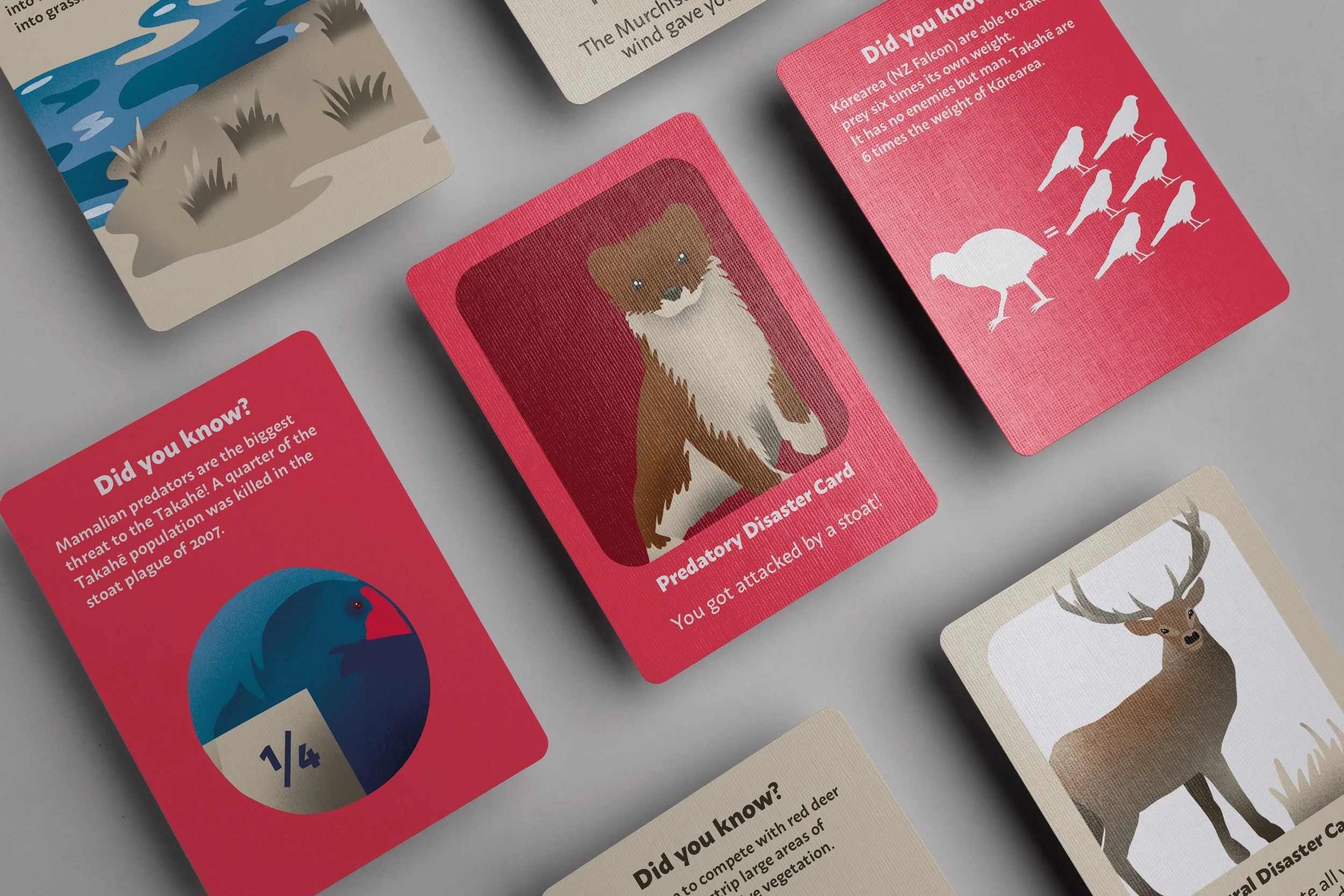 Takahē: Back From the Dead