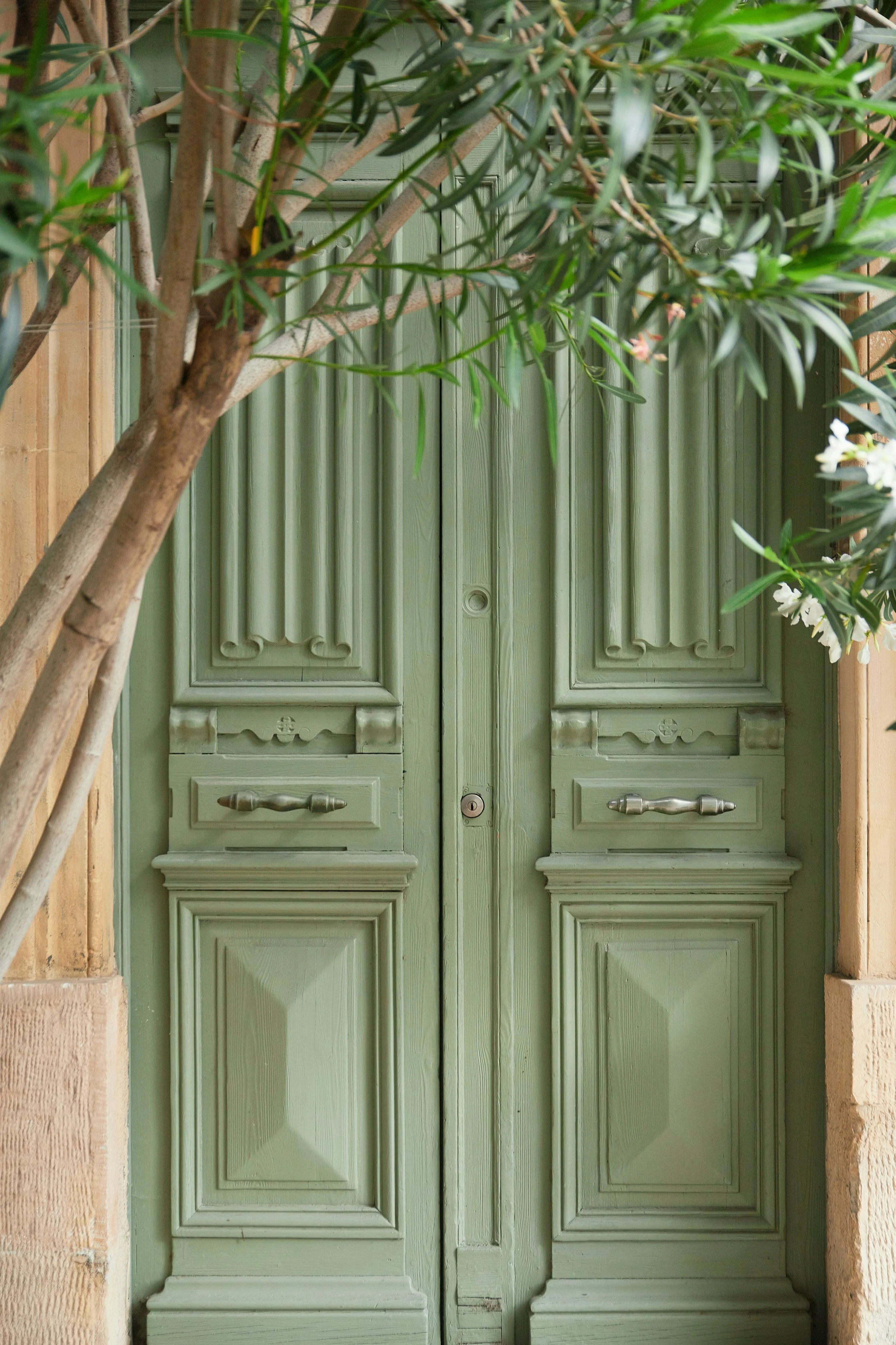 Green double door to a home