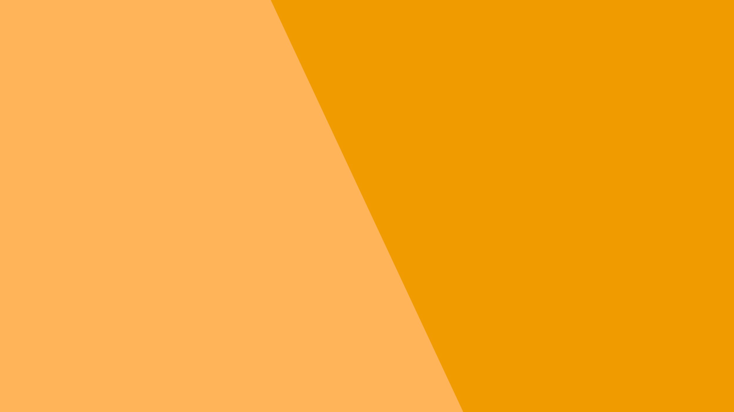 Website Background_4K-04_#ffb45a-#f09b00.jpg
