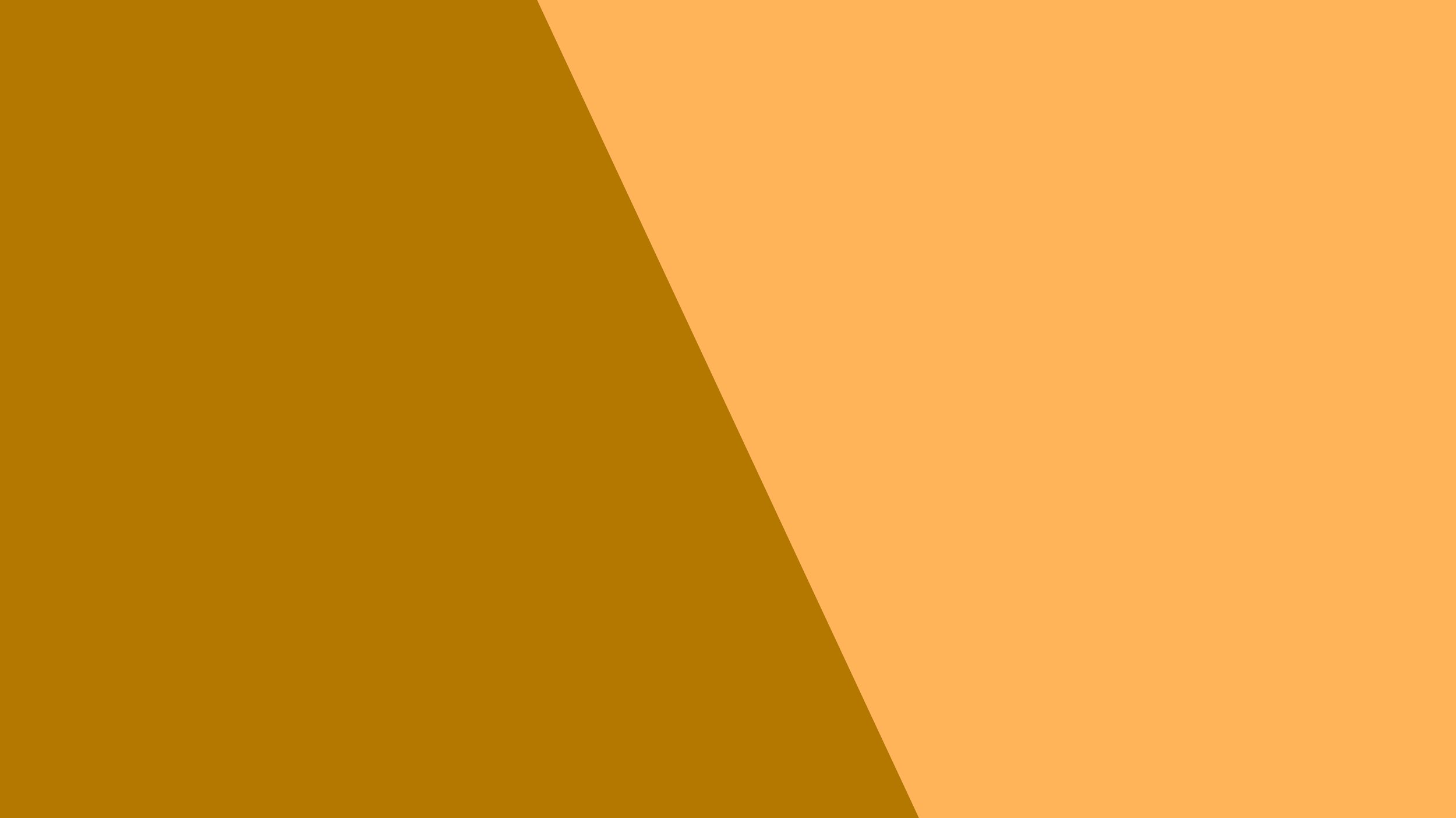 Website Background_4K-06_#b47800-#ffb45a.jpg