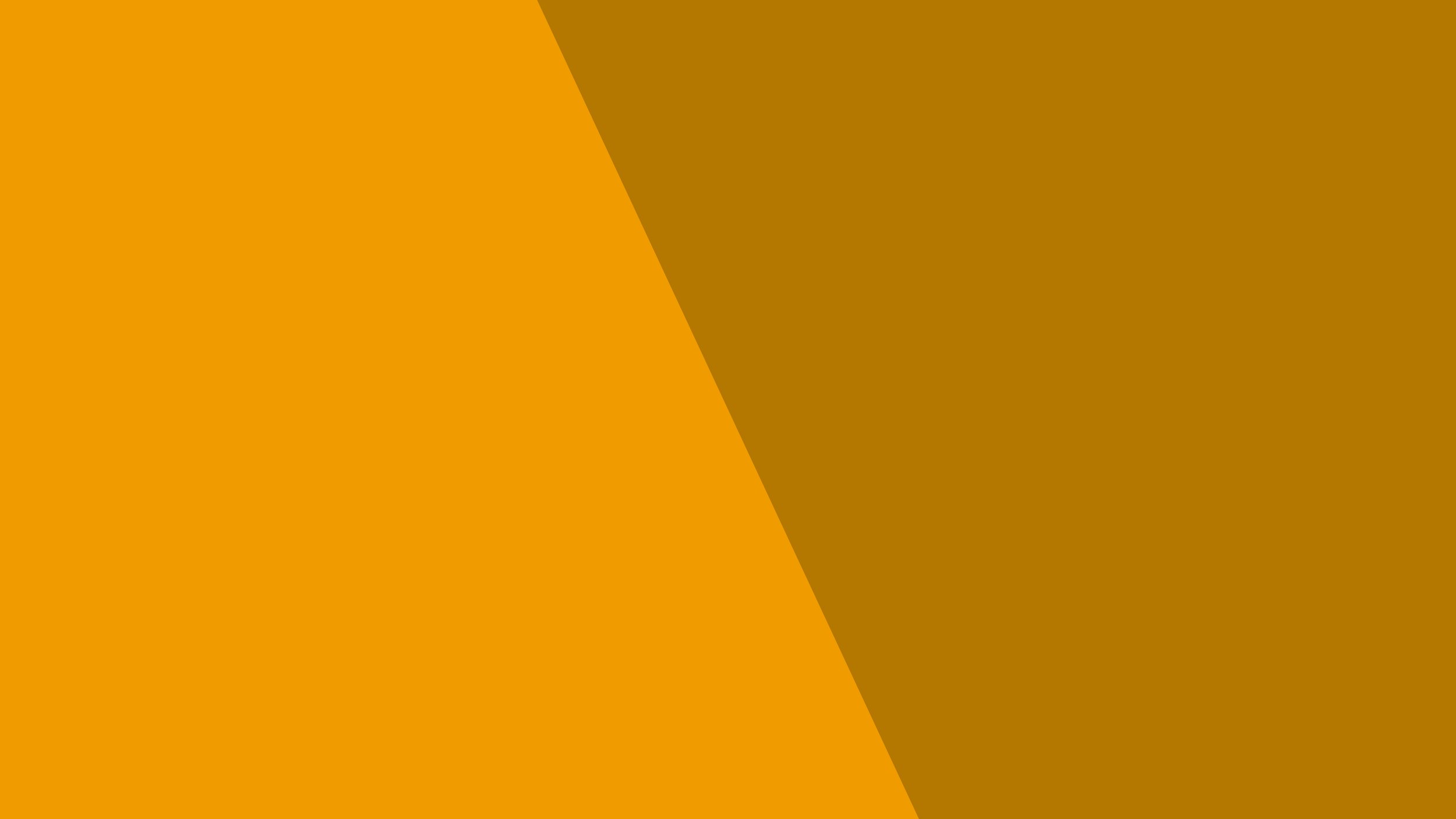 Website Background_4K-08_#f09b00-#b47800.jpg