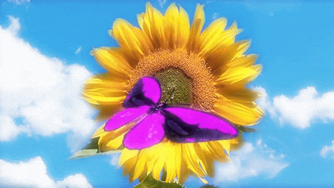 Summertime and the livin’ is easy…