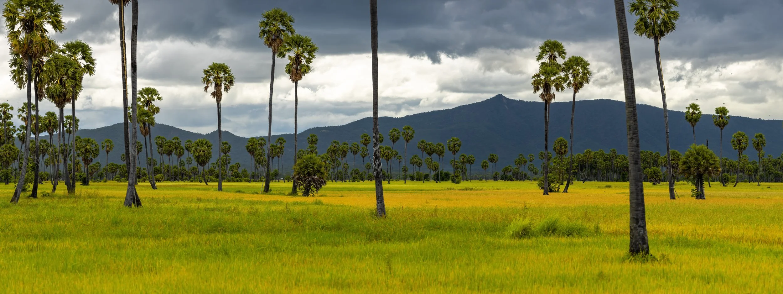 _29A7589-Pano-Edit-Edit-Edit.jpg