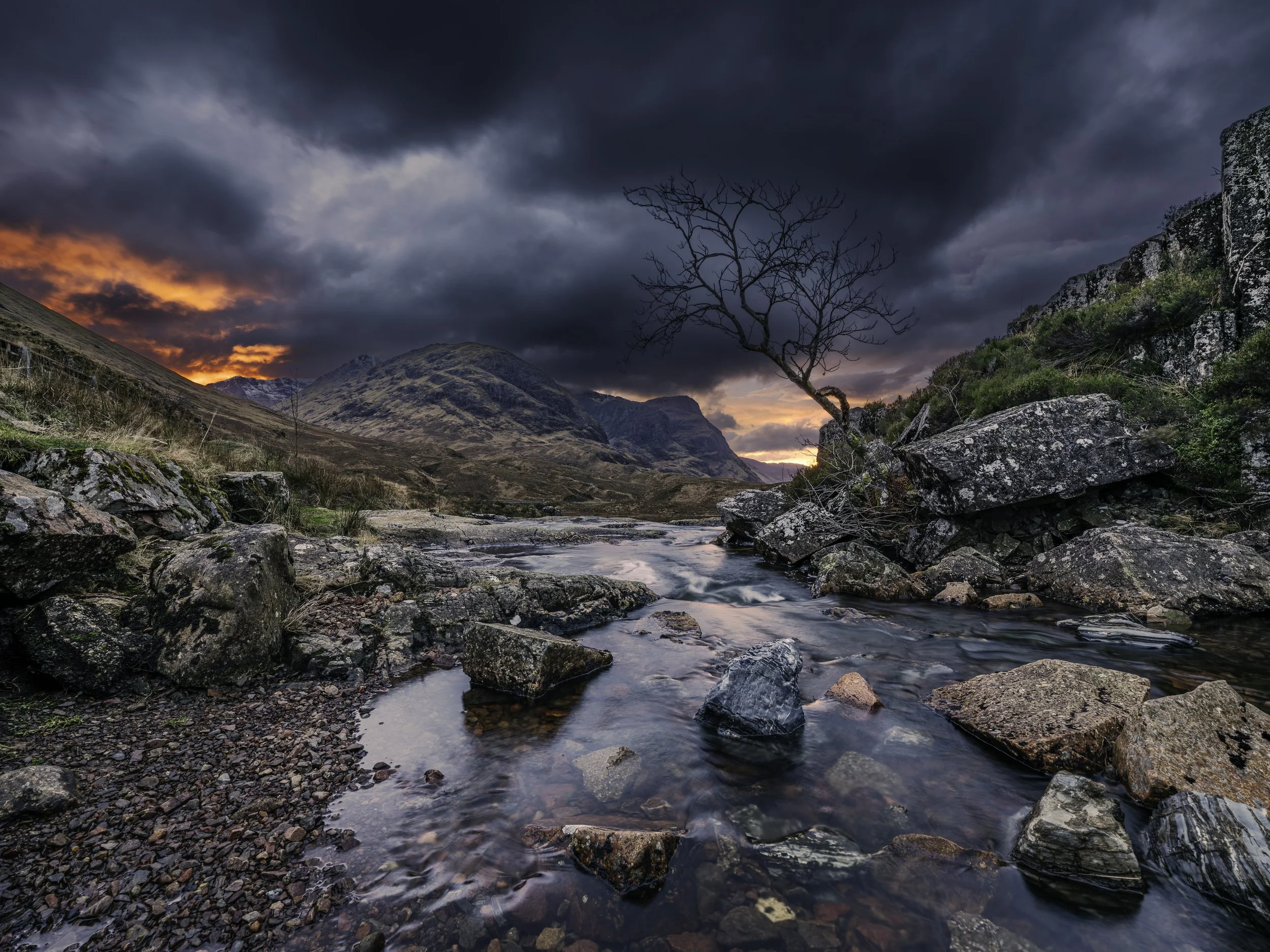 _DSF2806-DxO_DeepPRIME 3-Edit.jpg