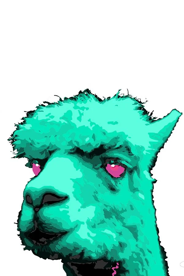 llama1.jpeg