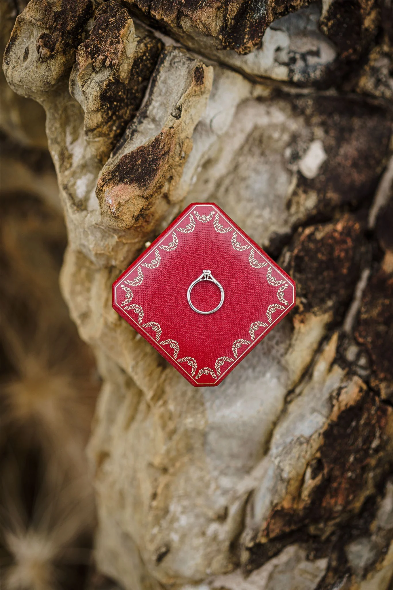 オーストラリア海外前撮り - Riku Kuroda Photography - 0024.jpg