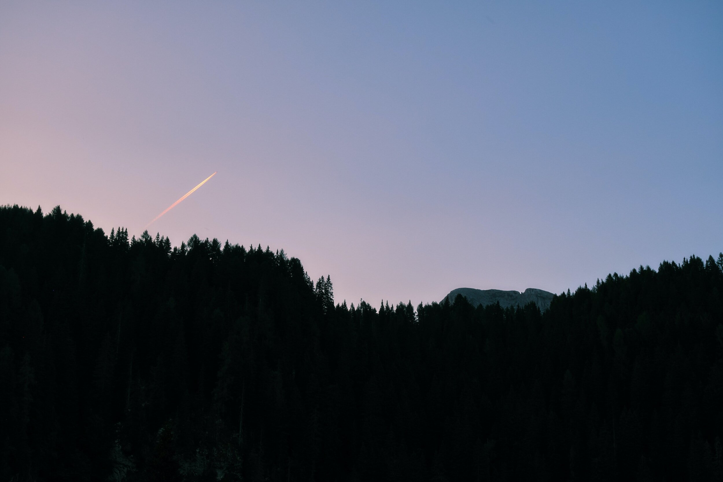 Twilight sky over pine trees.