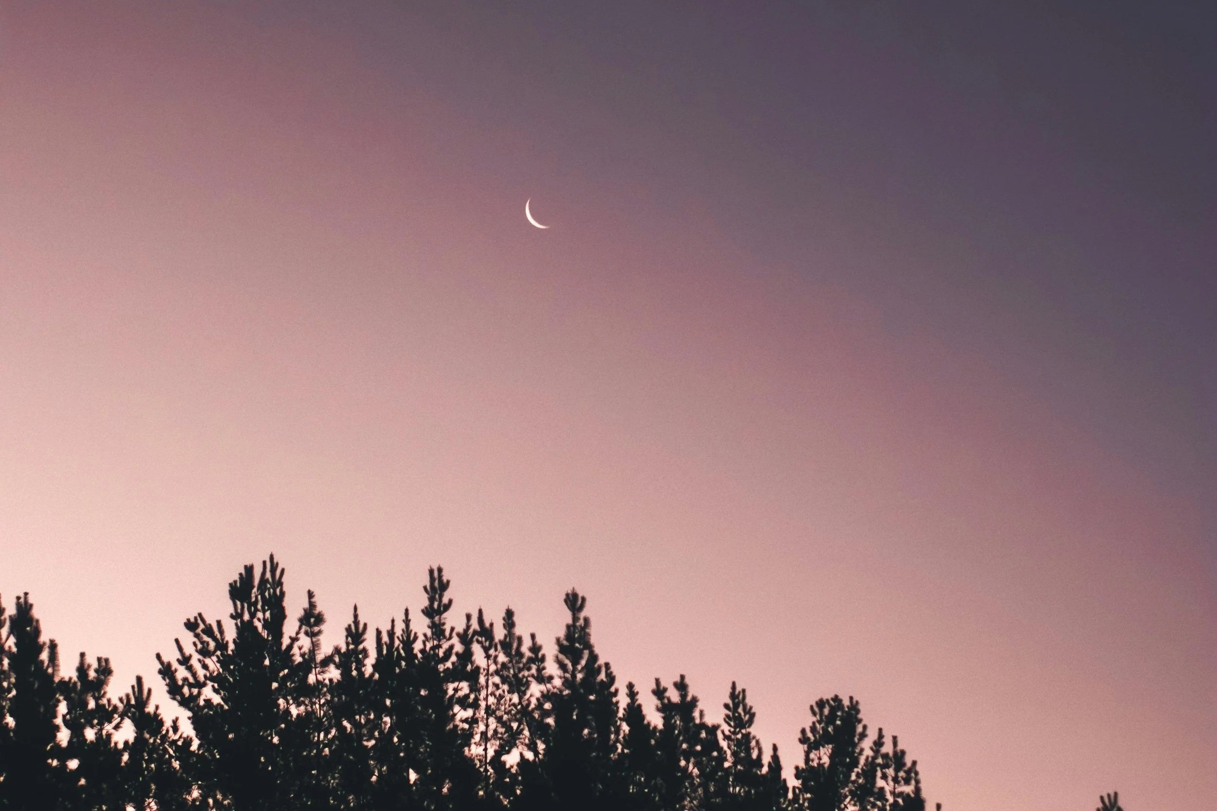Crescent moon in a dusk sky representing astrological counseling and personal transformation.