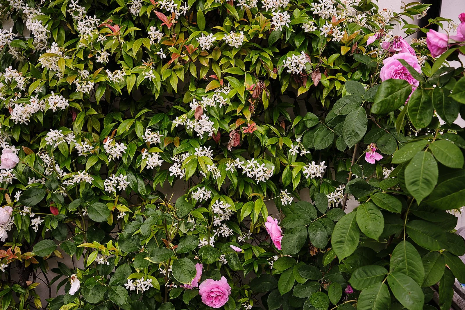 Spiritual Evolution: Between the Inner Flame and Collective Awakening