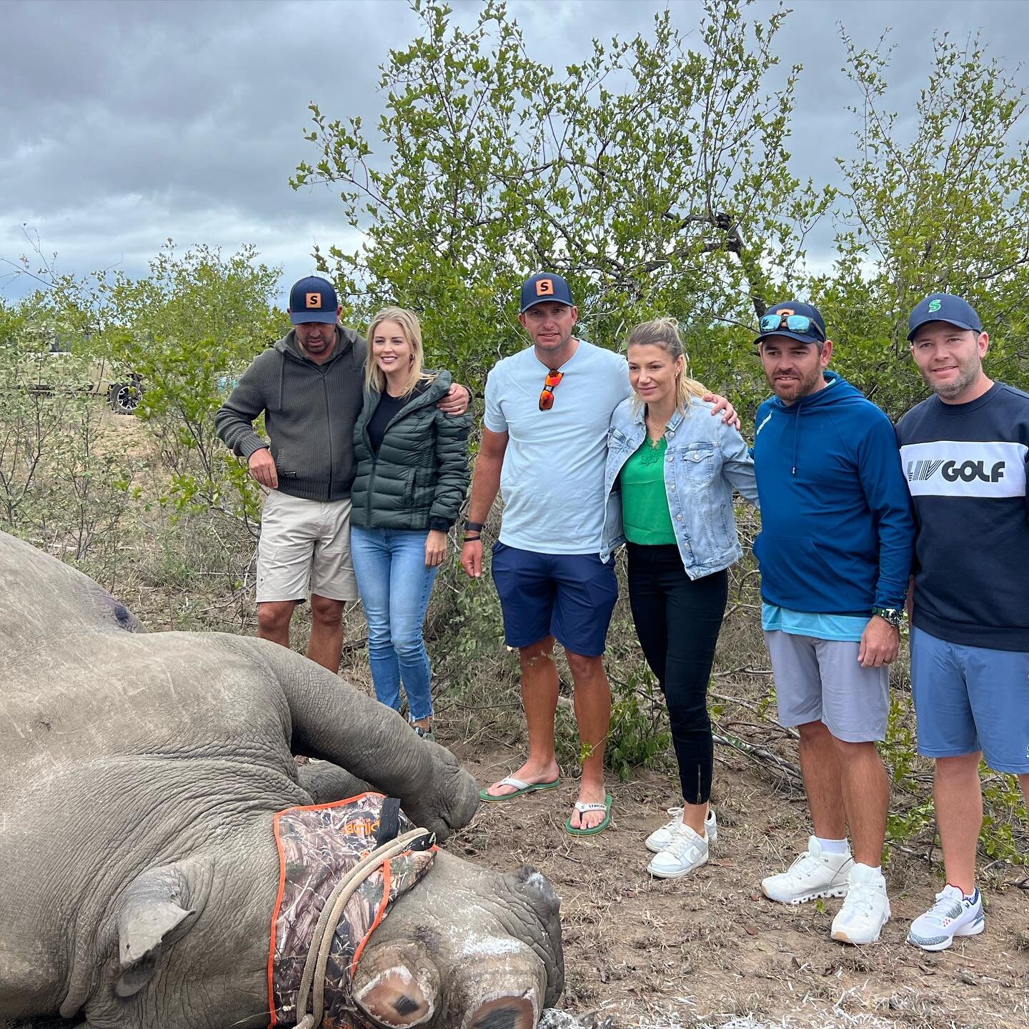 Team @stingergc_ doing their bit for Rhino Conservation this week.

So sad and humbling to witness a de-horning of a rhino. Sad this is the only way that seems to prevent these amazing animals from being poached.

@livgolf_league @birdies4rhinos 
🦏