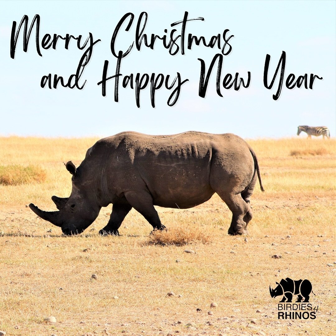 Merry Christmas to you all 🦏🎅
