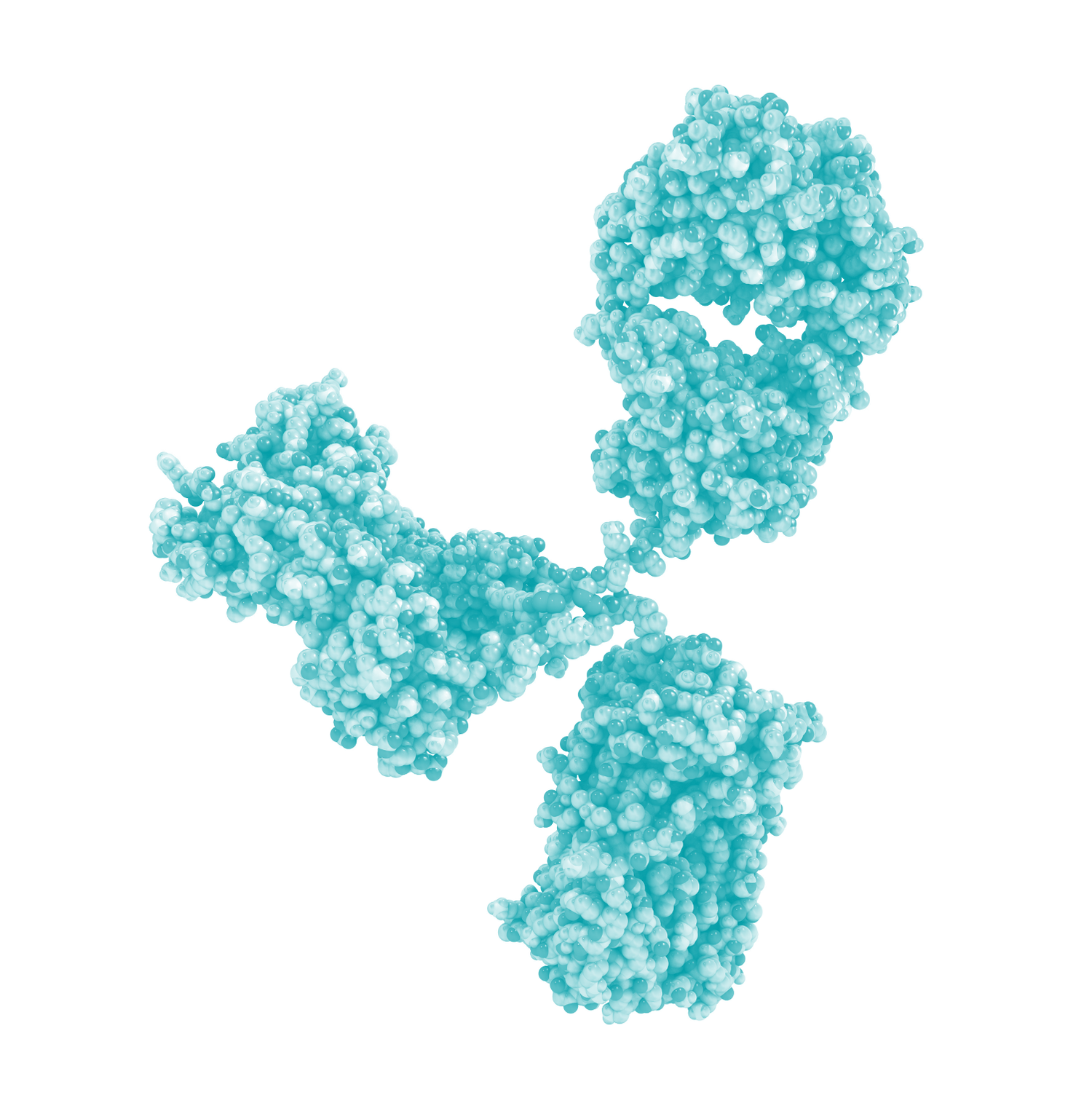About Us — AAX BIOTECH