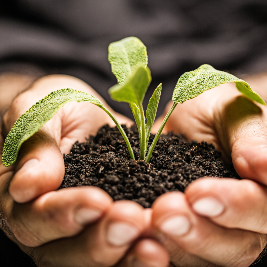 September Reset: How the GROW Model Can Help You Refocus &amp; Reclaim Your Goals