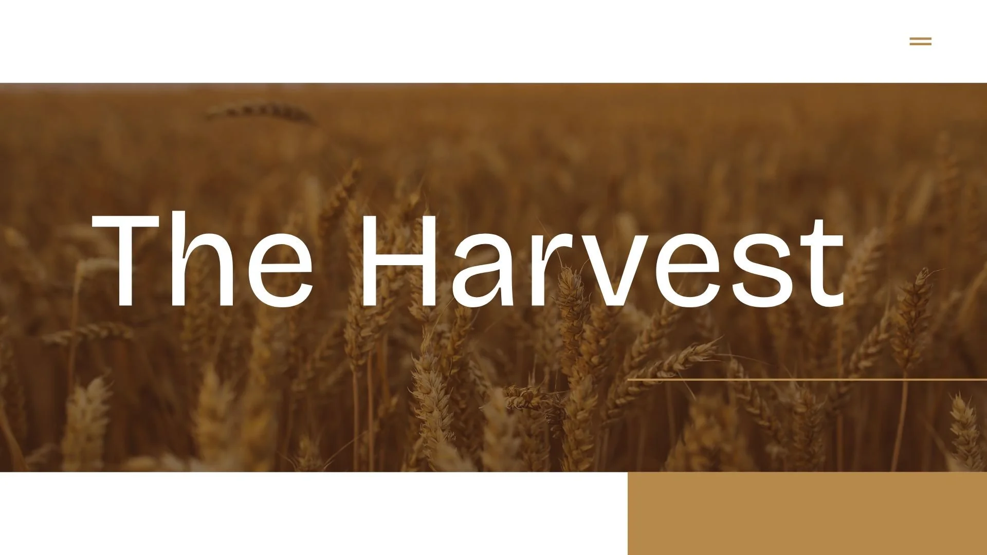 3/8/26 - The Harvest | Steve Tincher