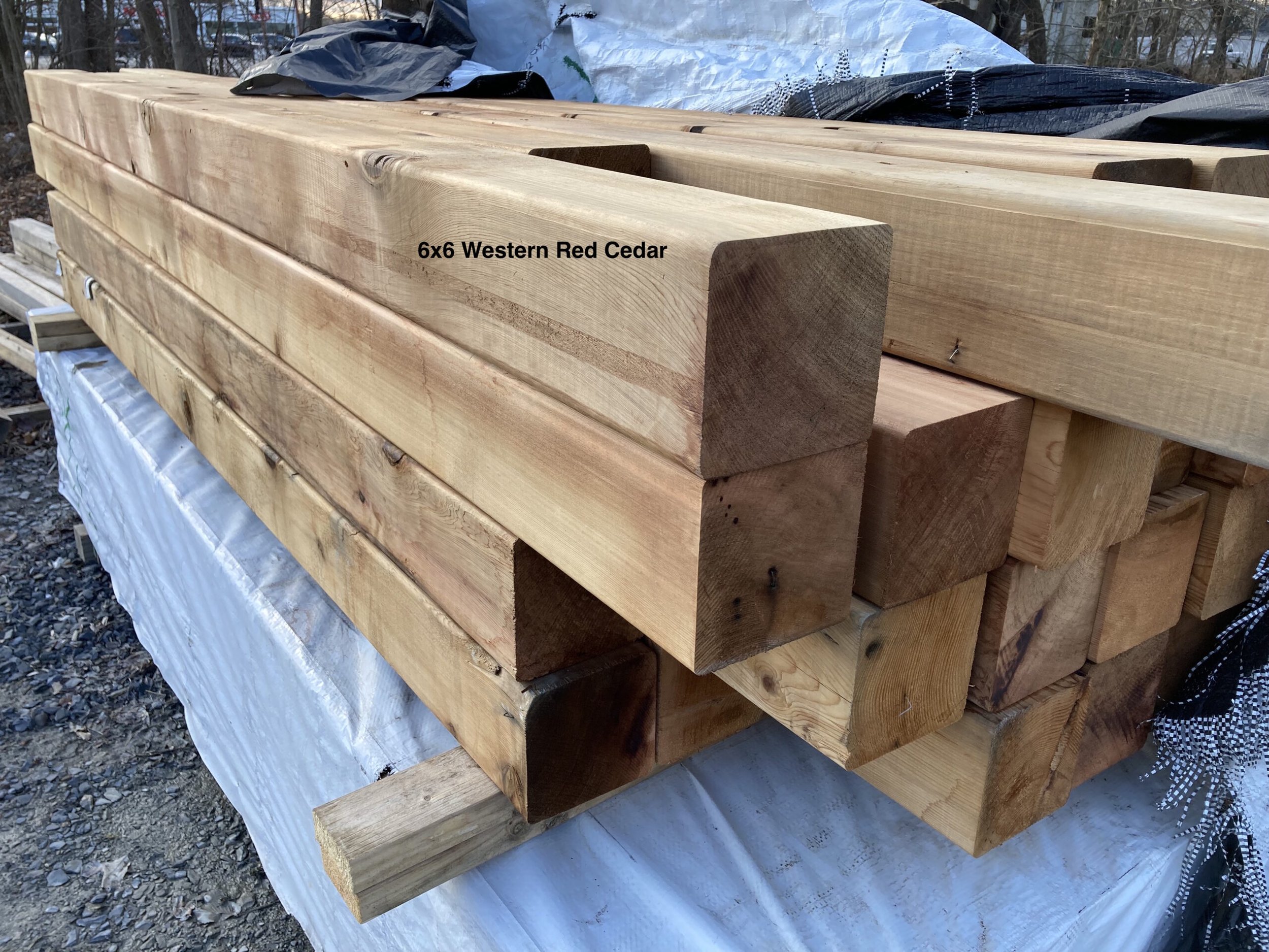 Red Cedar — New Hampton Lumber Co Inc.